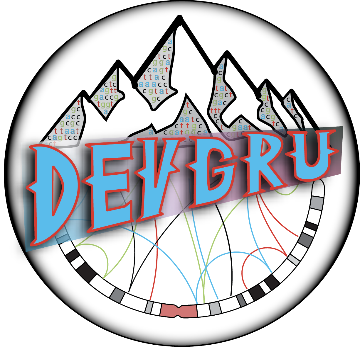 devgru logo